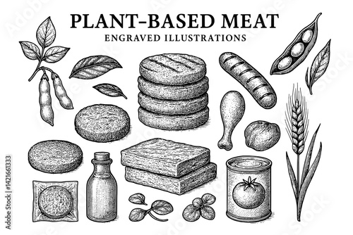 Engraved illustrations showcasing a variety of plant-based meat alternatives and ingredients to inspire a sustainable lifestyle