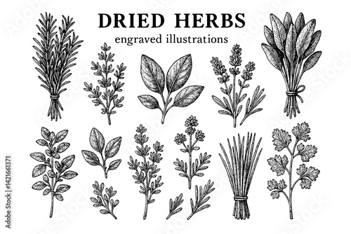 Elegant illustrations of dried herbs showcasing their unique forms and textures in an artistic display of nature's bounty and craftsmanship