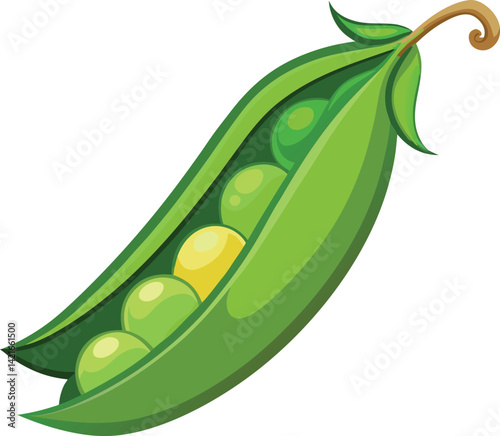 peas vector art