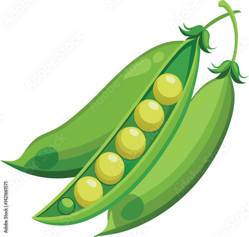 peas vector art