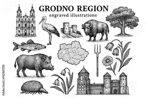 Exploring the artistic heritage of Grodno Region through detailed engravings showcasing nature and culture