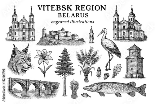 Vitebsk Region Belarus showcases nature and architecture through engraved illustrations featuring local flora and fauna