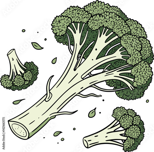 broccoli vector art