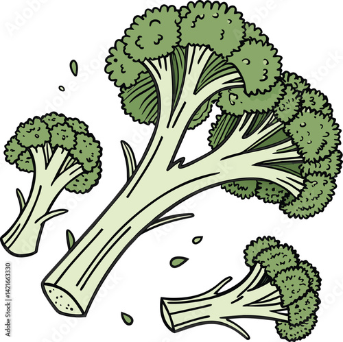 broccoli vector art