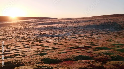 Serene Sunset Landscape Rolling Hills Heather Sunset Golden Hour Nature
