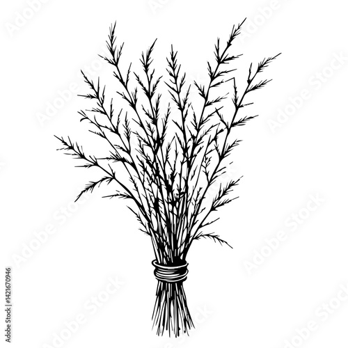 Bundle of wheat stalks illustration in black and white  