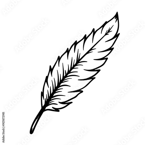 Black and white feather illustration in simple line art style  