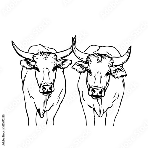 Two Cows in Line Art Style with Black and White Contrast  