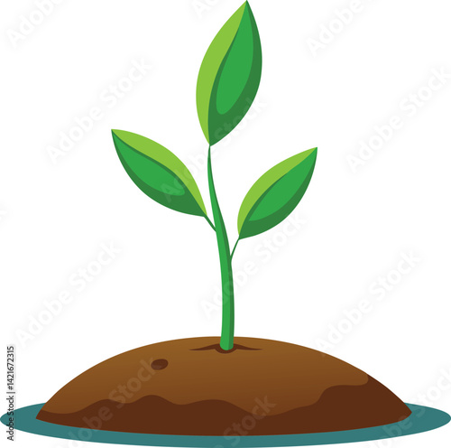A plant sprout emerging from the soil
