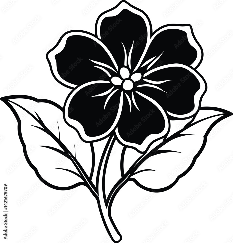Primrose flower vector illustration Primrose flower vector illustration