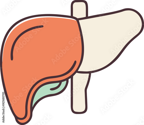 Human liver vector art