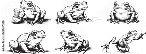black and white cartoon 6 frogs