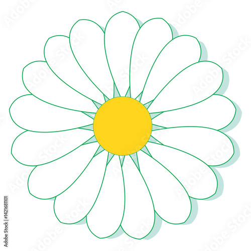 Chamomile flowers isolated on transparent background. Realistic vector illustration of chamomile flowers