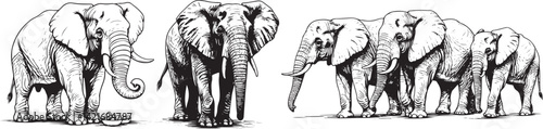 an elephant and a herd of elephants eps