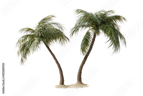 Coconut trees leaning isolated on white background PNG