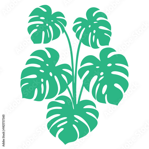 Stylized teal Monstera deliciosa leaves illustration, perfect for tropical designs.