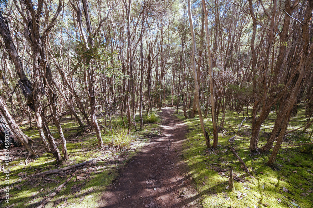 Warrandyte State Reserve in Melbourne Australia