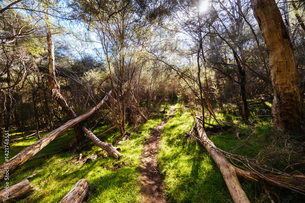 Warrandyte State Reserve in Melbourne Australia