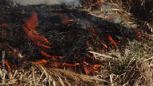 Flames and smoke rise from dry grass during a controlled burn in a field, used for land management and vegetation control.