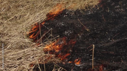 Flames and smoke rise from dry grass during a controlled burn in a field, used for land management and vegetation control.