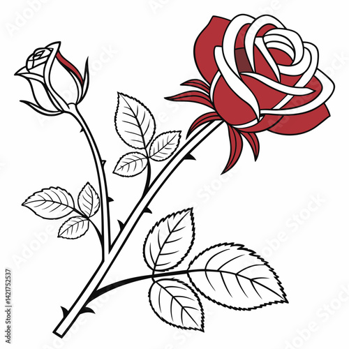 Elegant rose illustration, red and white color scheme