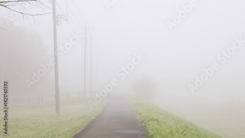 朝霧　川の土手に立ち込める霧_01 / Morning mist: Fog hanging over the river bank_01