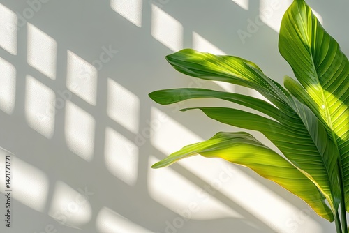 Sunlight filters through window, highlighting lush green leaves
