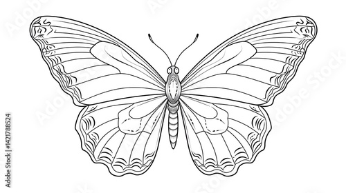 Detailed hand drawn sketch of a beautiful butterfly for insect illustrations
