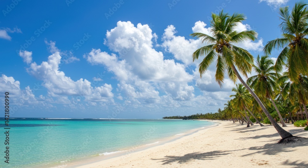 Fototapeta premium Tropical beach with palm trees white sand turquoise water and blue sky.