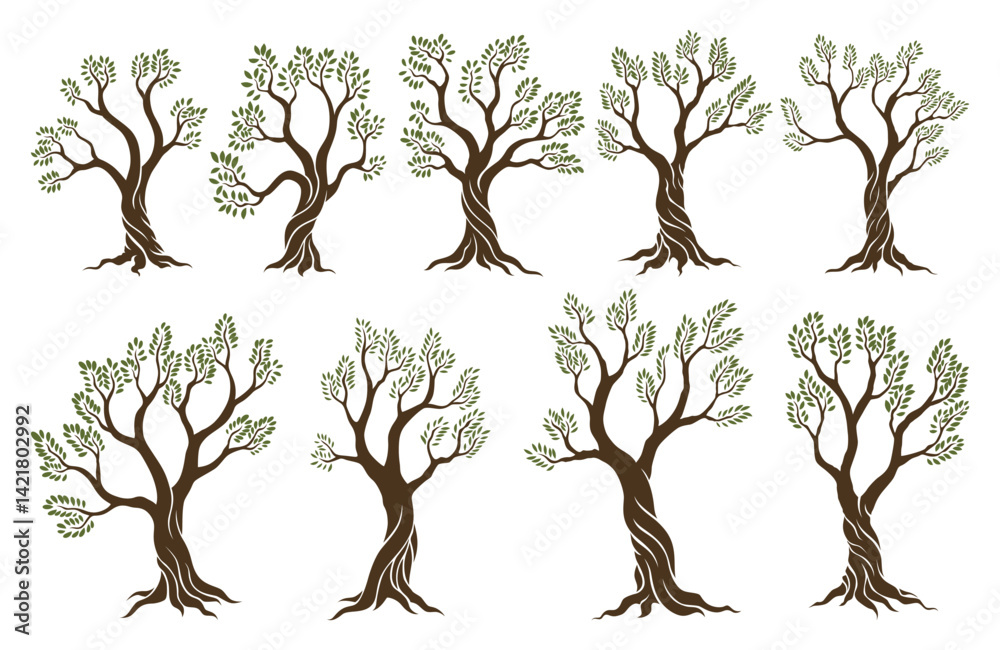 Olive trees set with branches and leaves for design of packaging, label, logotype or banner. Natural organic stylized olive icon, premium quality sign. Vector illustration