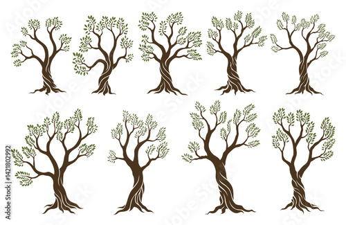 Obraz na płótnie Olive trees set with branches and leaves for design of packaging, label, logotype or banner. Natural organic stylized olive icon, premium quality sign. Vector illustration w salonie