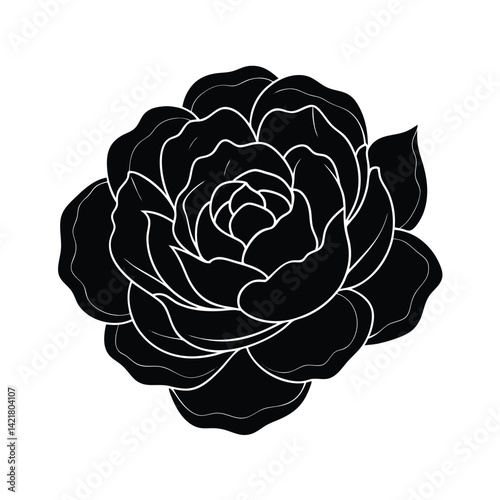 line art peony subtle shading vector art silhouette