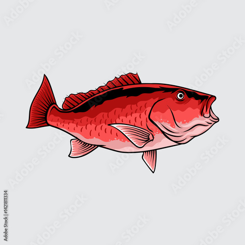 Red Snapper Fish isolated cartoon illustration with light background