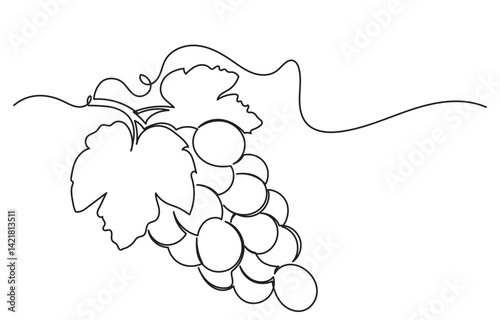 One continuous line drawing of a grape bunch, minimalist and clean. A simple, line art grape isolated on a white background vegan symbol in linear doodle style. Great for organic food designs vector.