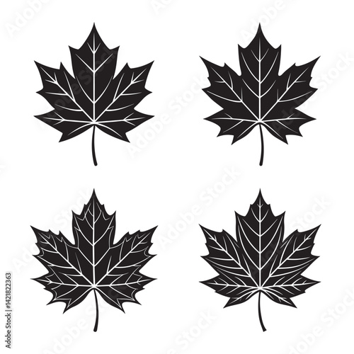 Detailed maple leaf bold outline black and white vector illustration