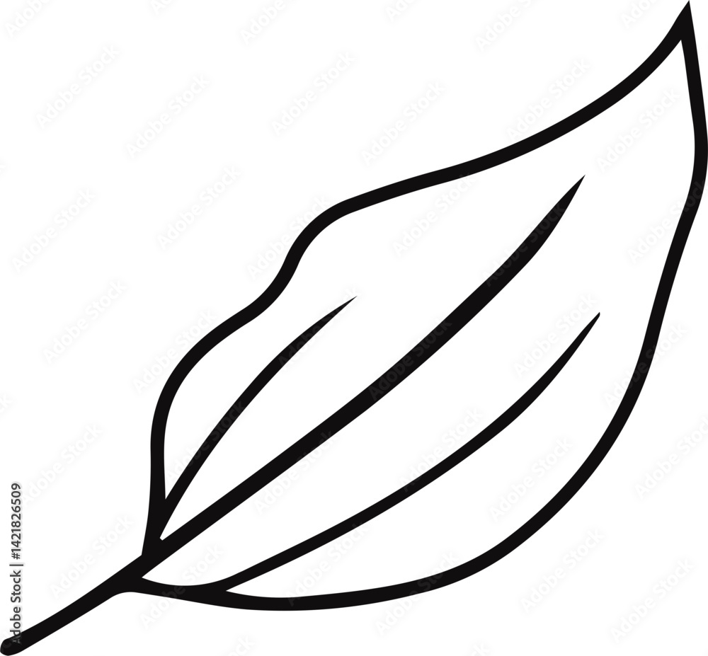 hand-drawn vector illustration of a leaf hand-drawn vector illustration of a leaf