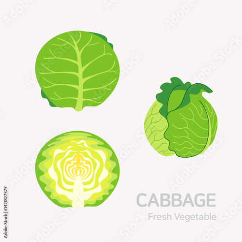 Cabbage set. Flat style graphic. Vector format.