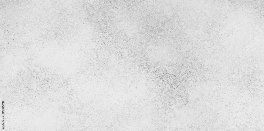 Fototapeta premium Abstract gray grunge background. Grunge texture with distress scratch effects. Rusted white effect. Dust grain on white background. 