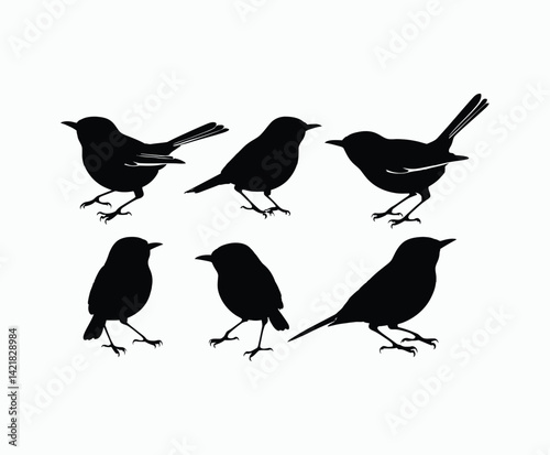 Yellow Rumped Warbler Bird Silhouette Collection Vector Template Illustration