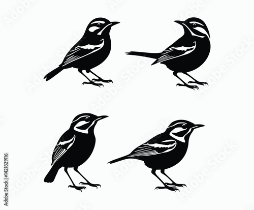 Yellow Rumped Warbler Bird Silhouette Collection Vector Template