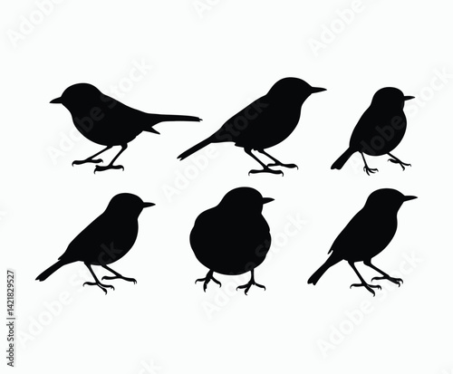 Yellow Rumped Warbler Silhouette EPS Template on a White Background