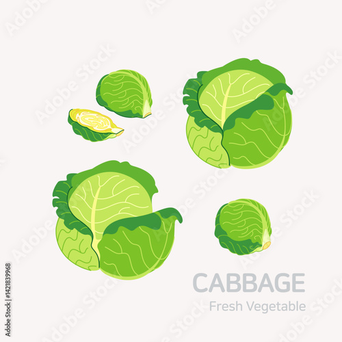 Cabbage set. Flat style graphic. Vector format.
