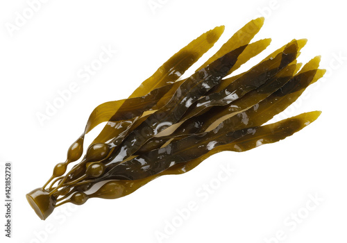 Dried Seaweed, intricate form photo