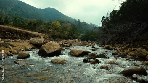 Stream in Tropical Forest – Serene and Peaceful Nature Footage.