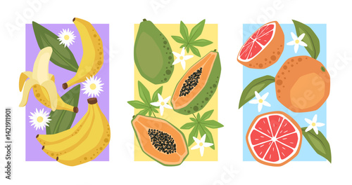 Set of vector posters with banana, papaya and grapefruit