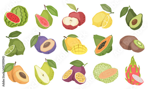Set of vector isolated fruits