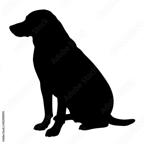Silhouette of dog sitting with vaccination tag, health awareness