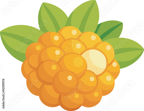 A vibrant vector art illustration showcasing delicious cloudberries with rich colors and detail, perfect for food-themed or nature-inspired designs.