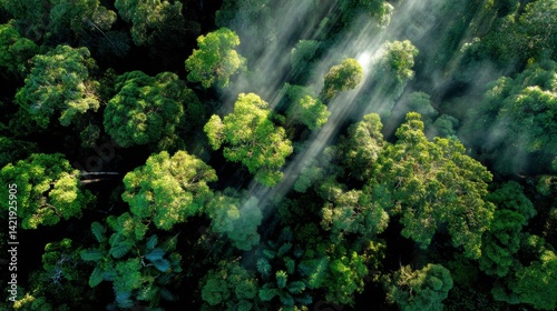 Obraz na płótnie Lush rainforest canopy viewed from above, with sun rays piercing through clouds and vibrant shades of green w salonie