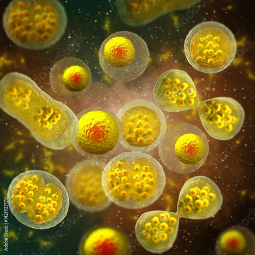 Medical concept background, Cell division, mitosis the process of forming two or more daughter cells from a mother cell, 3D rendering